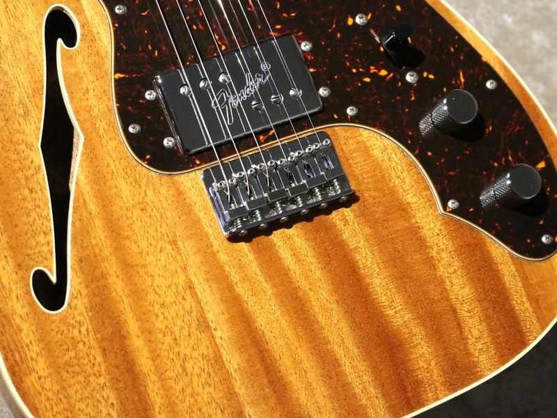 The Telecaster Thinlines The Telecaster Thinlines